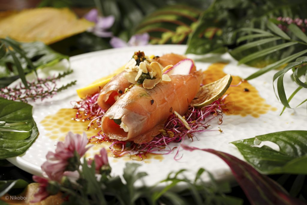 SeiGarden Nikoboi 2024-257